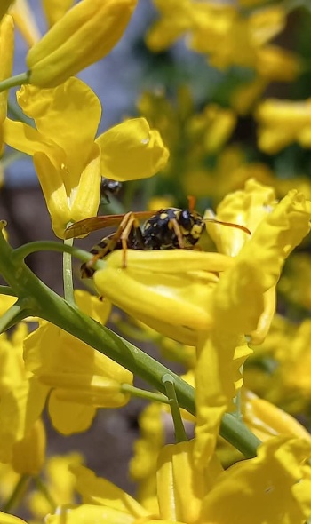 189519450 4674228382604302 4454607731327646010 n