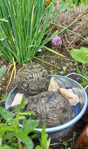 191626453 4694108090616331 772050966905694469 n 191626453 4694108090616331 772050966905694469 n