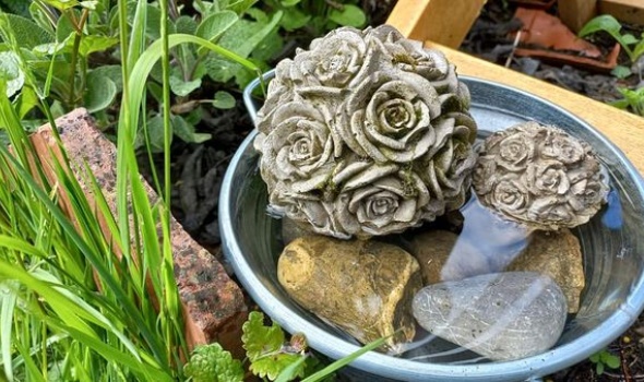 191631670 4694107953949678 4080610734681304522 n