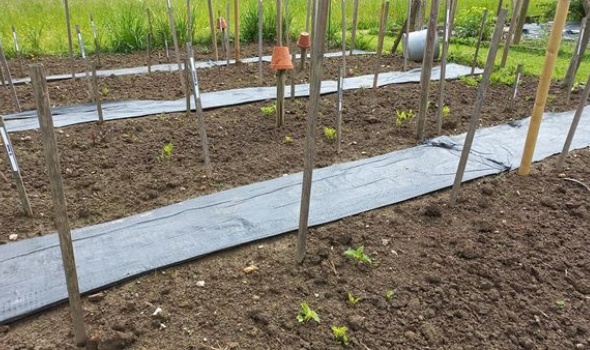 191778535 4694101180617022 5547539690509434523 n