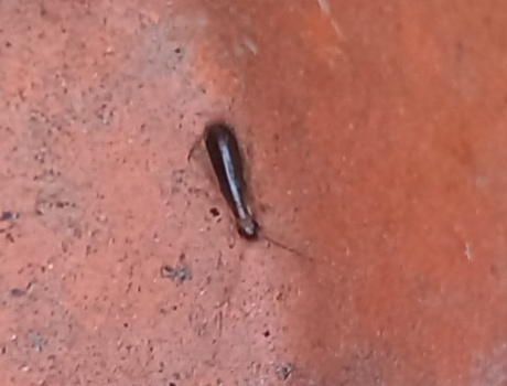 193600958 4706897579337382 8922903217839345862 n 193600958 4706897579337382 8922903217839345862 n