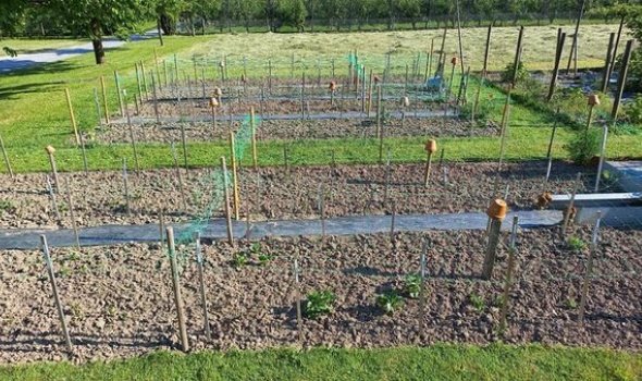 193968437 4706894732671000 6579380997901948424 n