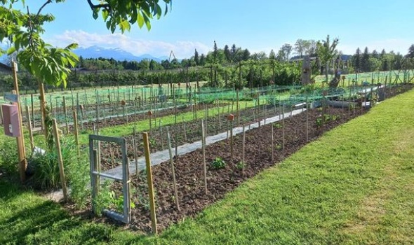 194090224 4706894539337686 6325915423808097939 n 194090224 4706894539337686 6325915423808097939 n