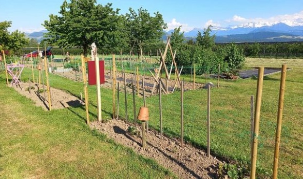 194829153 4706894819337658 8419896053400974474 n