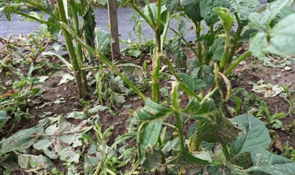 206391746 4779889742038165 1220411009109092267 n 206391746 4779889742038165 1220411009109092267 n