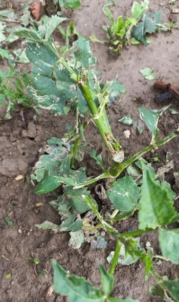 206628970 4779889878704818 6483199290674823566 n