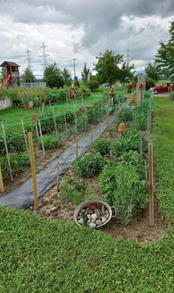 206729092 4795880247105781 8541774362014003162 n