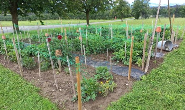 206768795 4795880357105770 2479053184392921224 n