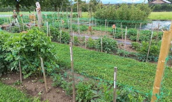 207378028 4795880127105793 7826890992313724784 n