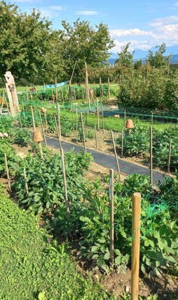 210171229 4822529174440888 3170331999066724195 n 210171229 4822529174440888 3170331999066724195 n