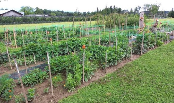 211199900 4795879983772474 1696504615972898899 n 211199900 4795879983772474 1696504615972898899 n