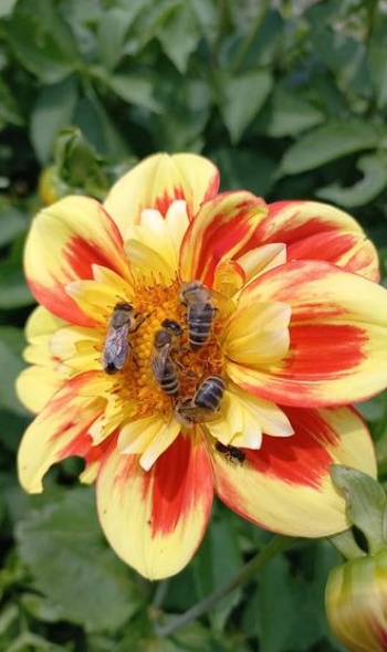 217702986 4857722914254847 1734405017144441590 n 217702986 4857722914254847 1734405017144441590 n