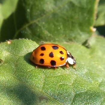 217772879 4857723327588139 8520264152102359849 n