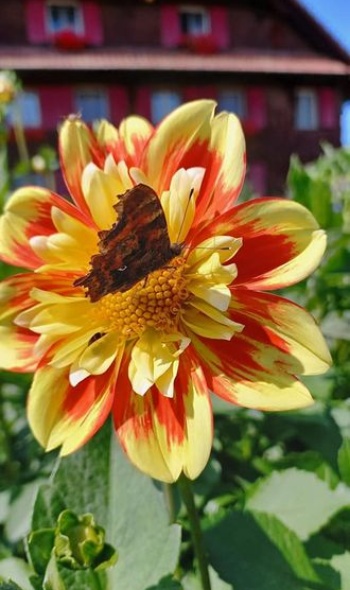 217873202 4857723217588150 5358851144139148297 n