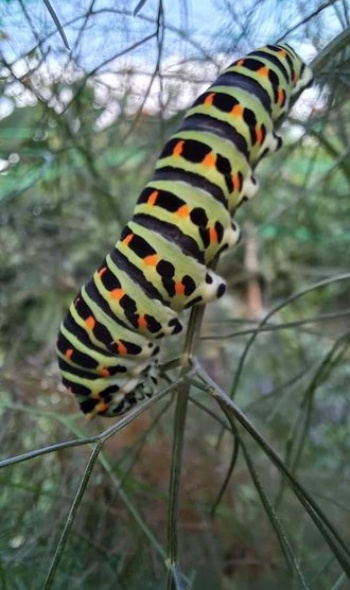 217912937 4857723040921501 2286262194801336167 n