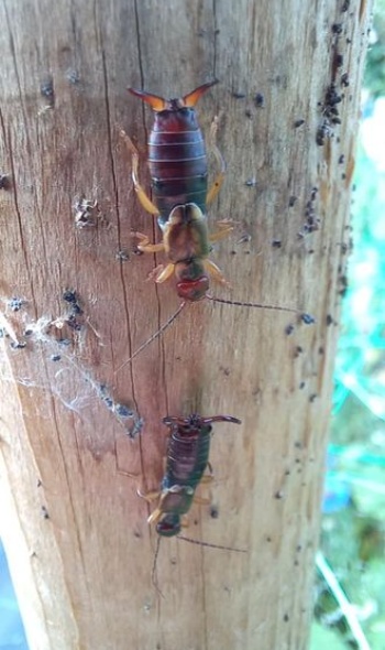 228200001 4904048019622336 7135901957275411613 n