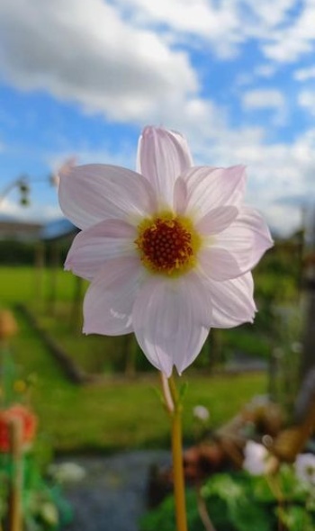 229210103 4904319242928547 3124587133957553737 n