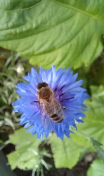 229220827 4904048136288991 5328109952327363373 n