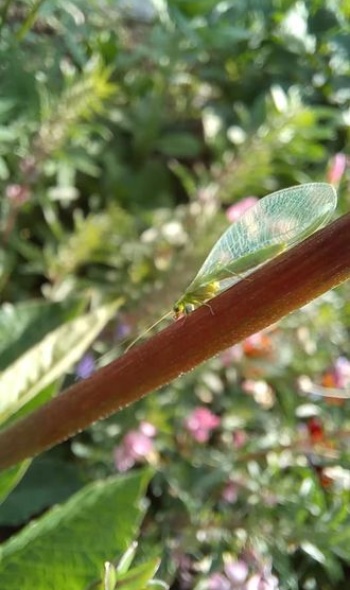 229696032 4904047879622350 1204874664831998185 n 229696032 4904047879622350 1204874664831998185 n