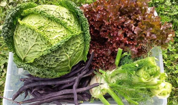 230130515 4913512555342549 8868247265255720784 n 230130515 4913512555342549 8868247265255720784 n