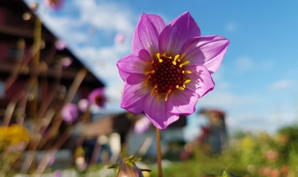 230452797 4904319376261867 3537474659181705862 n