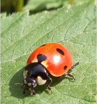 230602728 4904048216288983 5200104643765593073 n