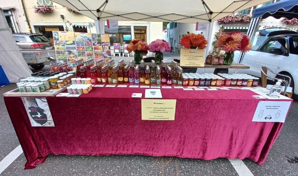 240584208 4971337629560041 2866476330738881958 n 240584208 4971337629560041 2866476330738881958 n