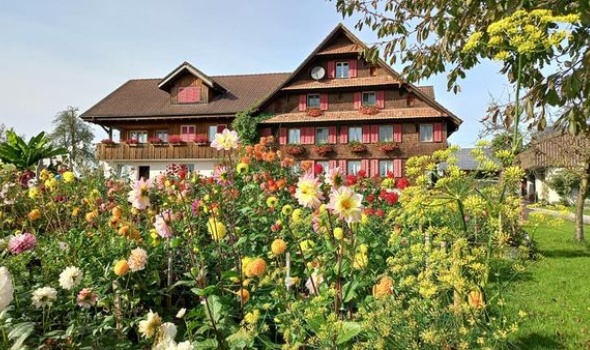 245013624 5115058045187998 2730732915913791413 n 245013624 5115058045187998 2730732915913791413 n