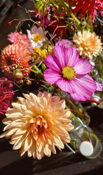 251270018 5181031125257356 8549203129669423253 n 251270018 5181031125257356 8549203129669423253 n