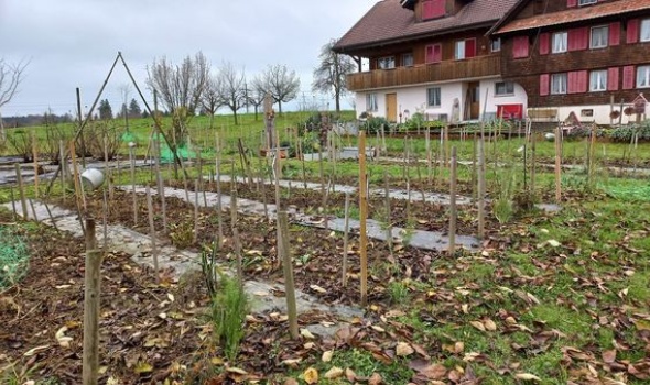 255487287 5230042100356258 6132448218621666359 n