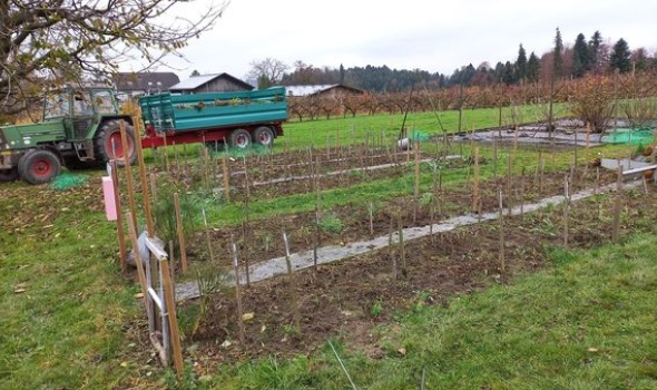 255497462 5230041843689617 8016371815952607601 n