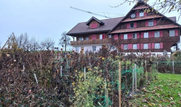 255527501 5230041313689670 1380116083460674702 n 255527501 5230041313689670 1380116083460674702 n