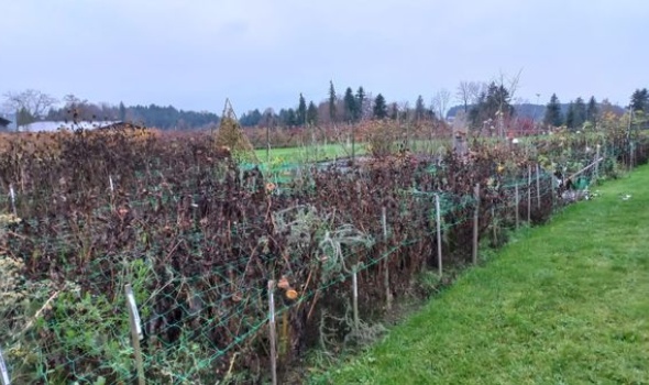 255564979 5230041523689649 8624818339279113097 n