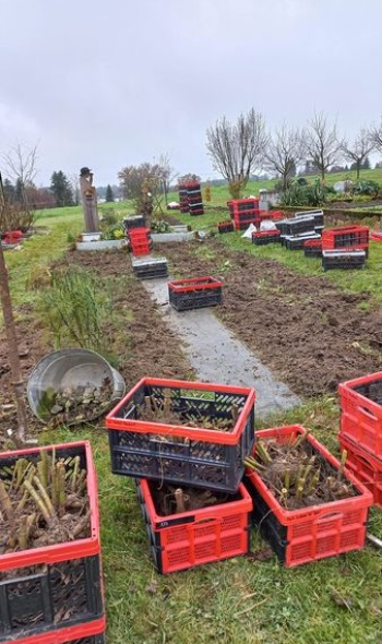 256246688 5236845793009222 915777293412881164 n