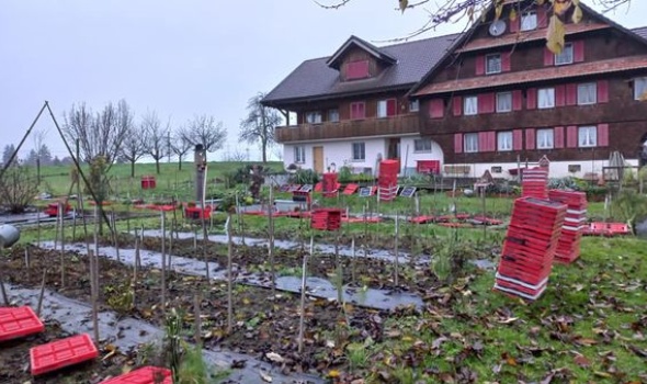 258213900 5236844879675980 7801268324378466617 n 258213900 5236844879675980 7801268324378466617 n