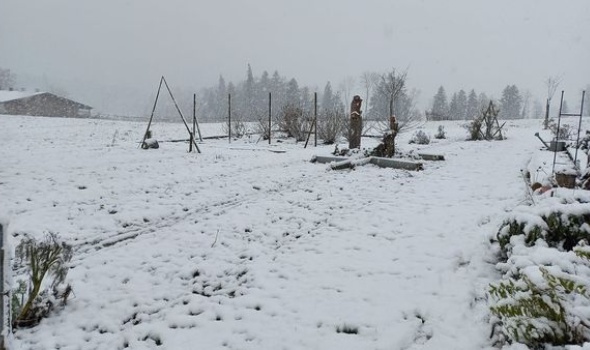 261324483 5277841148909686 6129651221450638396 n