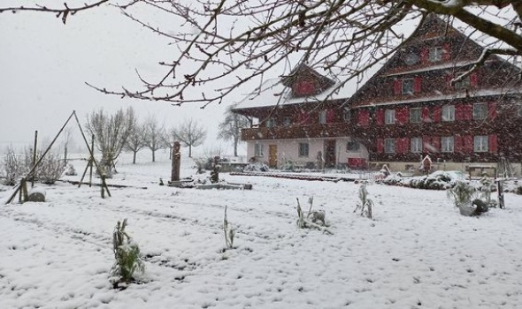 261383103 5277840982243036 6470377875405881072 n 261383103 5277840982243036 6470377875405881072 n