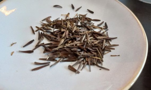 269254422 5353267321367068 6712500934735063216 n