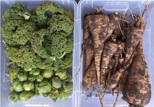 272312621 5493528427340956 3915444552789440920 n 272312621 5493528427340956 3915444552789440920 n