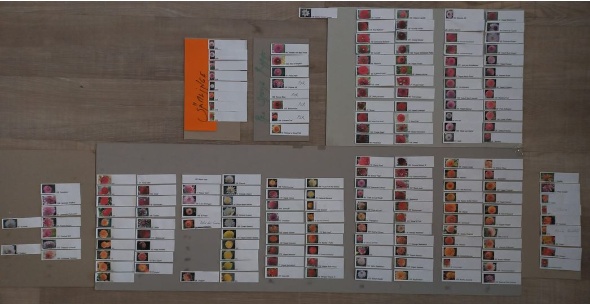 273436272 5546102718750193 6810354209853803562 n 273436272 5546102718750193 6810354209853803562 n