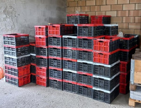 277307041 5696200877073709 4381208138958320595 n 277307041 5696200877073709 4381208138958320595 n