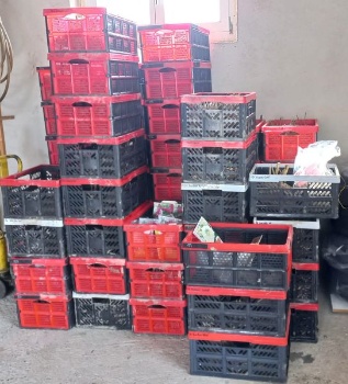 277365781 5696201330406997 2619450540512953388 n