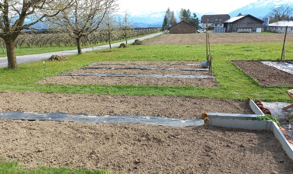 278127795 5731901580170305 2782164375443252536 n