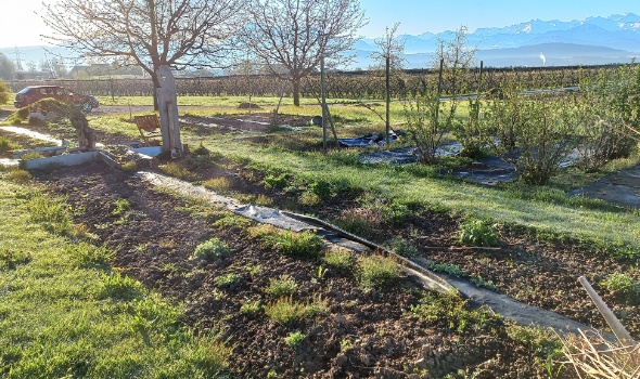 278139079 5731900993503697 1009238613316985815 n