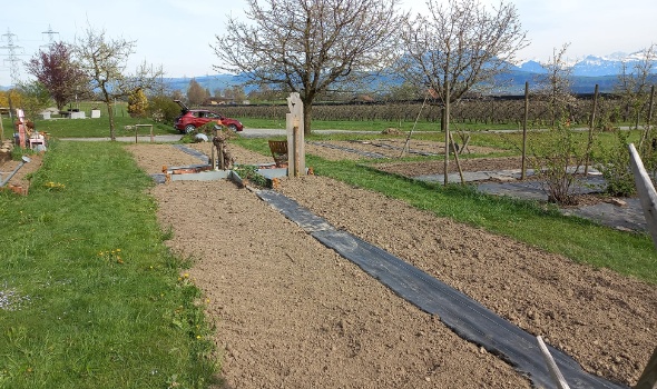 278140035 5731901173503679 7451357266537379525 n