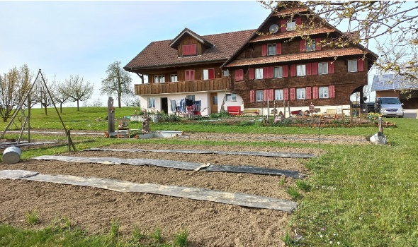 278151062 5731901720170291 303220340635775362 n