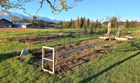 278170023 5731900710170392 1917045437210009247 n 278170023 5731900710170392 1917045437210009247 n