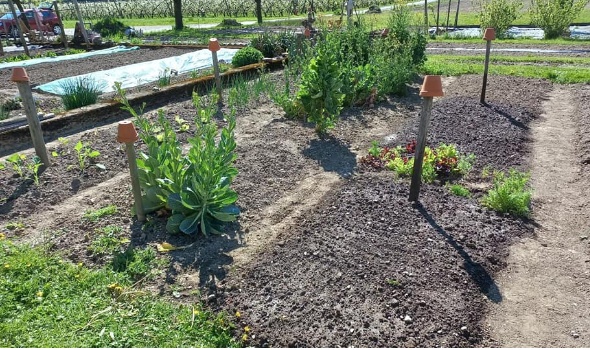 278381901 5748204665206663 4842199576016090453 n 278381901 5748204665206663 4842199576016090453 n