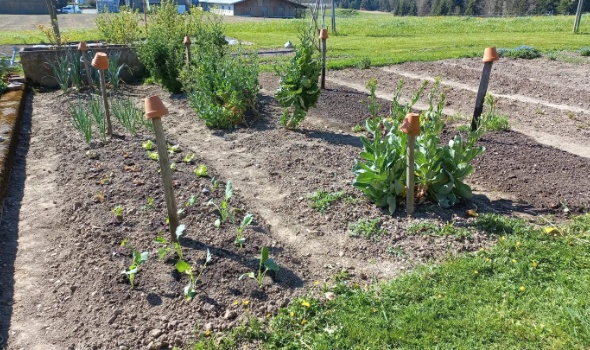 278474748 5748205078539955 418418743249521205 n