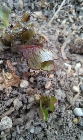 278610872 5753854371308359 2155172232172910814 n 278610872 5753854371308359 2155172232172910814 n